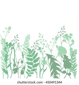 Vector nature background with  green wild herbs, leaves on white. 