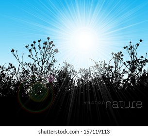 Vector nature background with lawn grass silhouette and bright shining sun