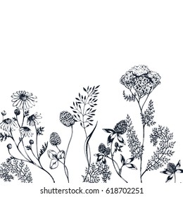 Vector nature background with wild and medical herbs, flowers and leaves. Black on white. Hand drawn botanical illustration with meadow in vintage style for  card, banner and other herbal design. 