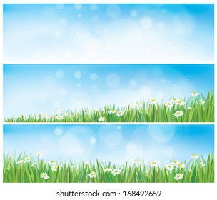 Vector nature backgrounds with sky, grass and chamomiles.