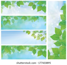 Vector nature banners, branch of birch tree with green leaves on sky background.