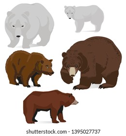 VECTOR NATURE BIG BEAR ILLUSTRATIONS