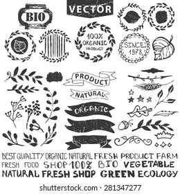 Vector nature bio  logo template.Badges,labels,floral elements,wreaths and laurels.Organic,natural design .Hand drawing Vintage silhouette vector,ink sketch.Logotype maker,lettering.