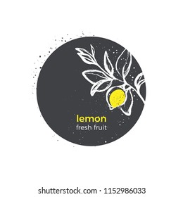 Vector nature design Lemon, tree, branch, leaves, yellow tropical fruit on white background. Botanical hand drawn sticker. Organic logo in circle. Round symbol. Sketch illustration Bio fresh product 