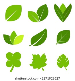 vector nature element design asset collection