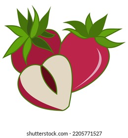 VECTOR NATURE FRESH FRUITS SIMPLE 