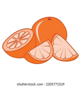 VECTOR NATURE FRESH FRUITS SIMPLE 