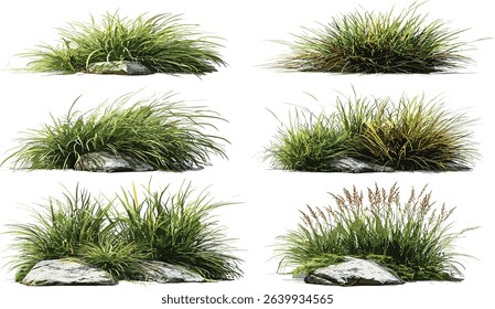 Vector nature grass illustration, PNG file, cut out design, fresh grass, montage, transparent background, natural elements, environmental texture, outdoor nature