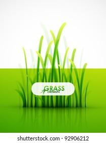 Vector nature green grass background