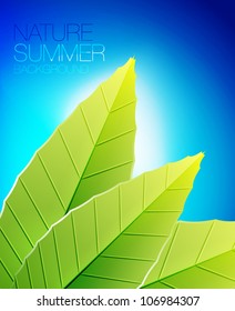 Vector nature green leaves and sky background