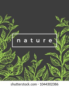 Vector nature green template. Vintage summer illustration with tea branch, leaf and flower. Botanical blossom doodle sketch. Art hand draw realistic floral background for health, medicine Organic food