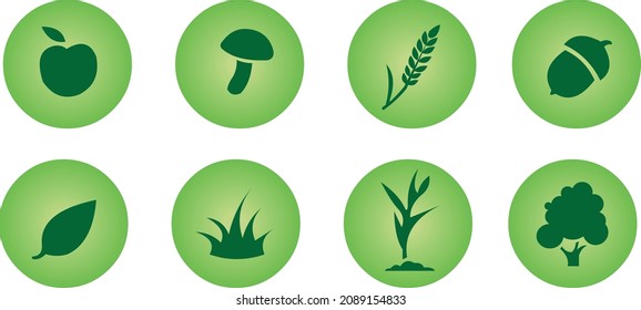 Vector Nature icons. Green icons set. 