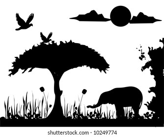 vector nature illustration