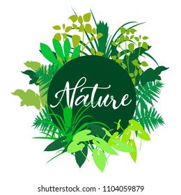Vector Nature illustration