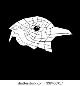 vector nature illustration bird art design graphic