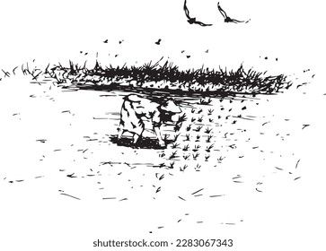Vector nature illustration sketch. With birds on main view. Using for travel and nature background 