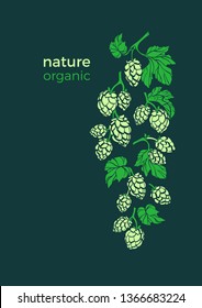 Vector nature label. Hop branch with leaf and cone. Botanical art realistic shape of plant. Natural organic drink, beer. Herbal botany pattern of hops. Simple design for card, pub, background
