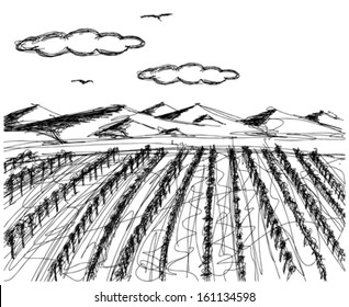 Vector Nature landscape. Sketch background with outdoors