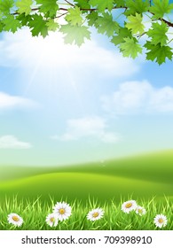 Vector nature landscape with sky and hills. Maple branches and grass with daisy flowers on foreground.