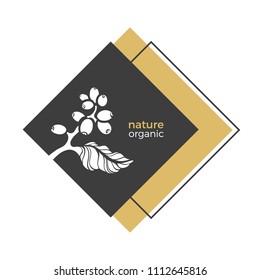 Vector nature logo. Organic card. Elegant symbol of coffee branch, leaves, bean. Art template, bio banner. Tropical geometric frame. Natural food Illustration in square, luxury product, label, sticker
