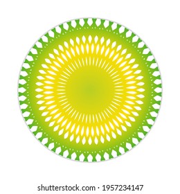 vector of nature mandala in flat style. can be used as icon
