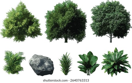 Vector nature pack, jungle elements collection, tropical plants, forest graphics, wildlife, green foliage, exotic trees, environment illustrations, leaves design