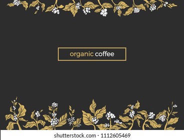 Vector nature package template, organic card Elegant border of coffee branch, leaves, bean, grain. Art design, bio floral banner. Tropical gold frame Natural food Botanical illustration, premium drink