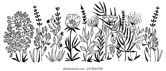 Vector nature seamless background with hand drawn wild herbs, flowers and leaves on white. Doodle style floral illustration.