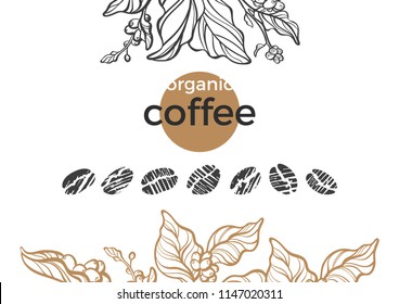Vector nature set of coffee tree, bean, branch. Organic food, aroma drink Design sketch shape. Illustration isolated. Vintage hand drawn template, tropical jungle. Decorative bio card, banner, packing