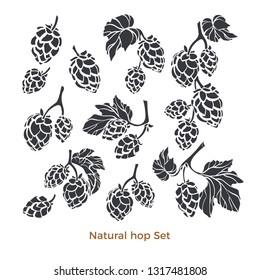 Vector nature set of hop. Natural beverage Art shape illustration, sign on white background Herbal bio collection of cone, leaves, branch Simple hand drawn design for bar, pub Organic element isolate 