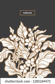Vector nature template Botanical art line design Coffee tree with realistic leaf, flower, bean, grain  Elegant simple background Organic vintage card, retro bouquet Herbal hand drawn bio illustration 