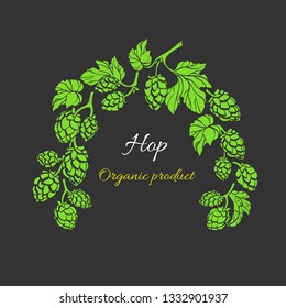 Vector nature template. Hop branch with leaf and cone. Botanical art realistic shape of plant. Natural organic drink, beer. Bio frame, herbal pattern. Simple design for card, pub. Botany design