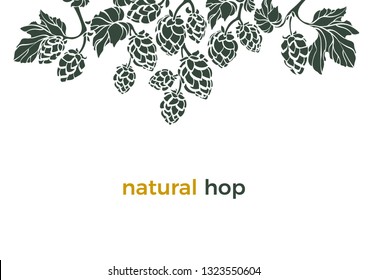 Vector nature template Natural hop Shape frame, border Bio beverage Art banner on white background Herbal cone, leaves, branch Simple design for beer print, pub Organic food Botany set Organic pattern