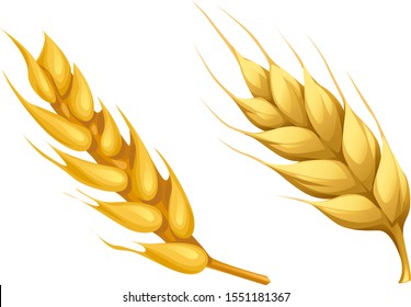 vector nature volume yellow spikelets