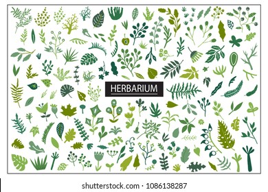 Vector nautical seamless background pattern with hand drawn beautiful leaves, plants, flowers