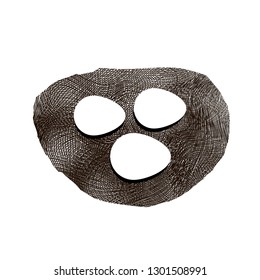Vector Nest and Eggs Icon Isolated on White Background