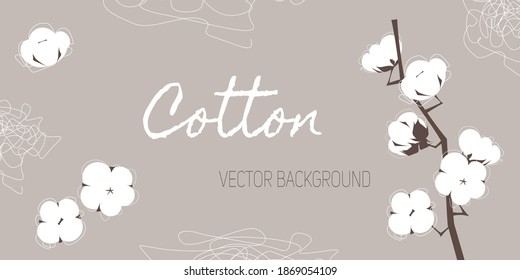 Vector neutral soft background with branch of cotton and abstract line elements. 