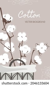 Vector neutral soft vertical background with cotton branches in a basket and abstract line elements. 