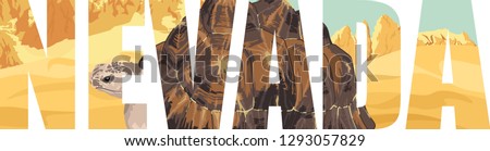 vector Nevada - American state word with Desert Tortoise
