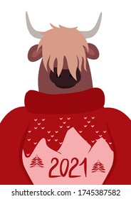 Vector New Year card with a bull. Portrait of a bull in a new year's sweater. New Year 2021 according to the Chinese calendar. Template for greeting card, poster, packaging, print and web.