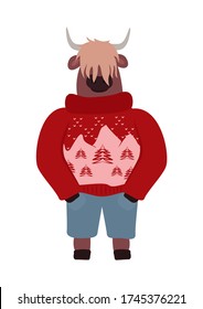 Vector New Year illustration with a bull. New Year`s winter card with a bull. Bull in a new sweater. Template for new year, christmas.