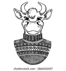 Vector New Year illustration with a bull. New Year winter card with a bull. Bull in sweater. Template for new year, christmas.