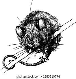 vector new year mouse, rat clip art graphics linner set