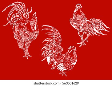 Vector New Year symbol design. Rooster, cock on a red background illustration. Holiday card design element. Merry Christmas, happy New Year memory card, advertisement design. Chinese year symbol.