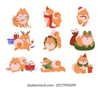 Vector New Year's collection with a Pomeranian and in a New Year's costume with deer antlers, a festive hat and festive glasses, next to gifts on a white background