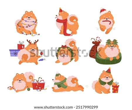 Vector New Year's collection with a Pomeranian and in a New Year's costume with deer antlers, a festive hat and festive glasses, next to gifts on a white background