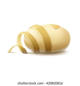 Vector New Yellow Raw Peeled Potato with twisted peel  Close up Isolated on White Background