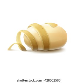 Vector New Yellow Raw Peeled Potato with twisted peel  Close up Isolated on White Background