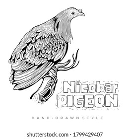 Vektorgrafik der Nicobartaube auf Baumstamm, handgezeichnet realistische Tiergrafik