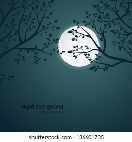 Vector night background with tree branches and the moon